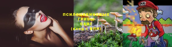 сатива Абаза